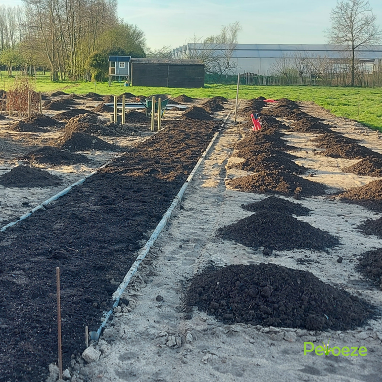 Samenwerking (16)