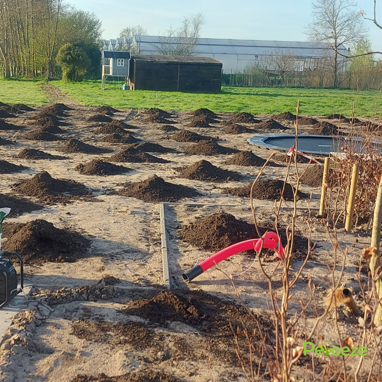 Samenwerking (17)
