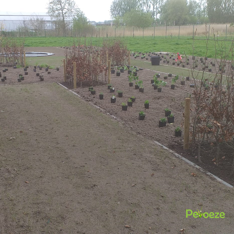 Samenwerking (23)