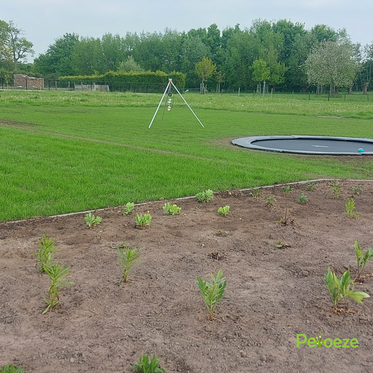 Samenwerking (24)