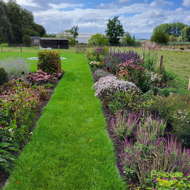 Samenwerking (29)