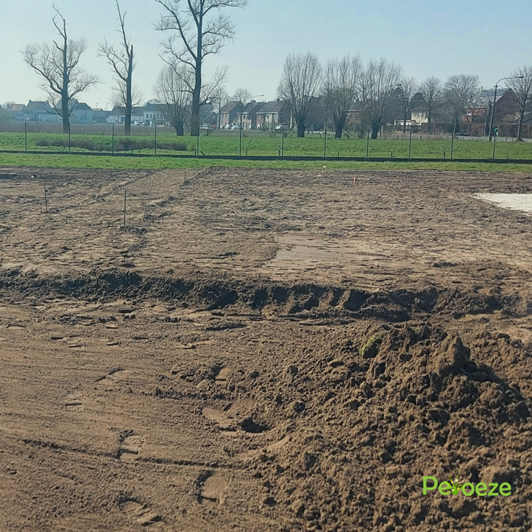 Samenwerking (6)